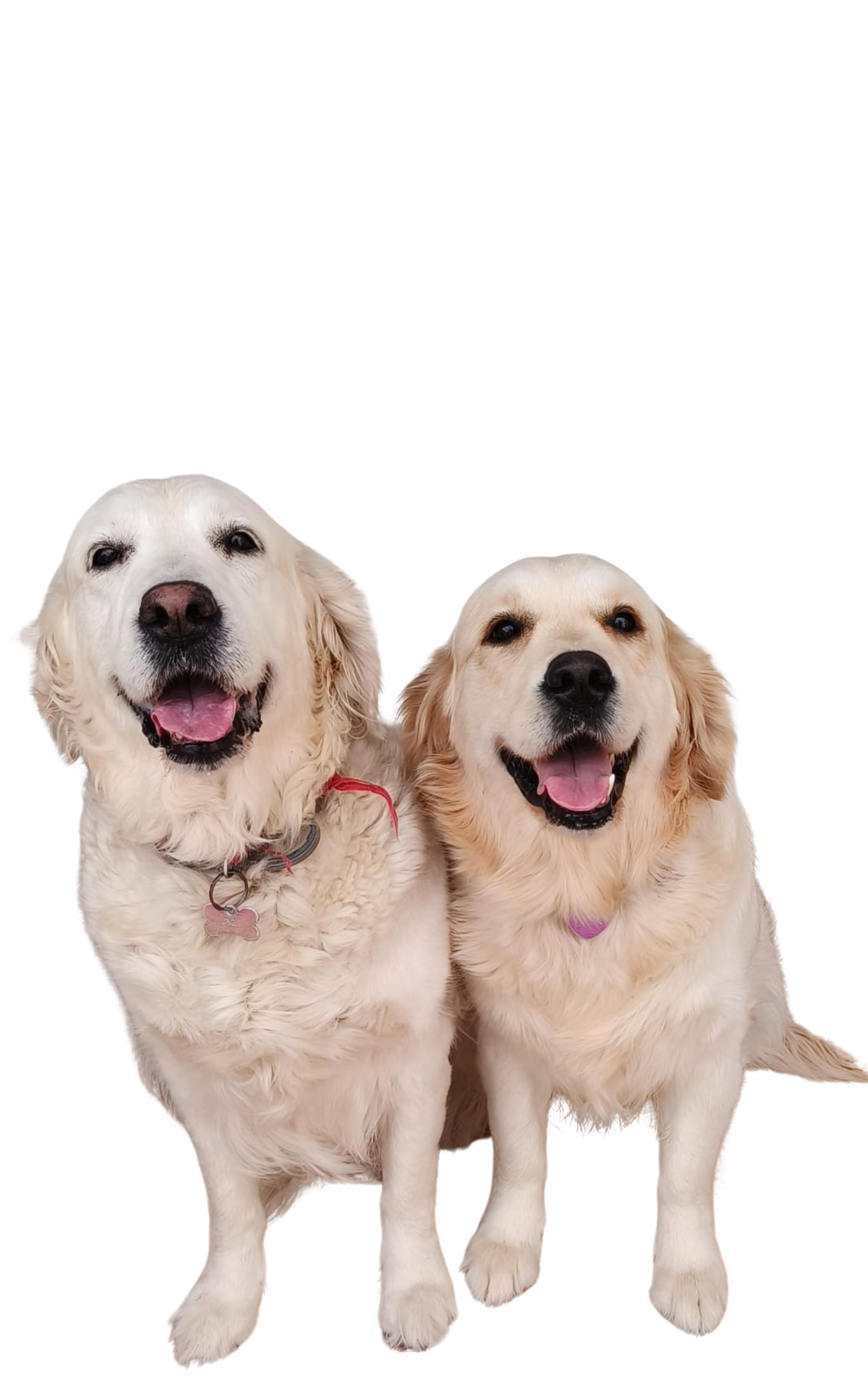 Kila y Chichí